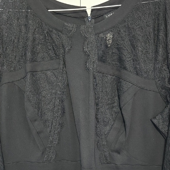 Lane Bryant Elegant Black Lace Sleeve Dress - Picture 3 of 6